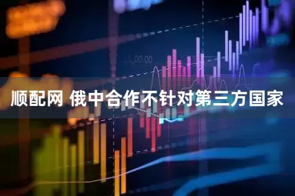 顺配网 俄中合作不针对第三方国家