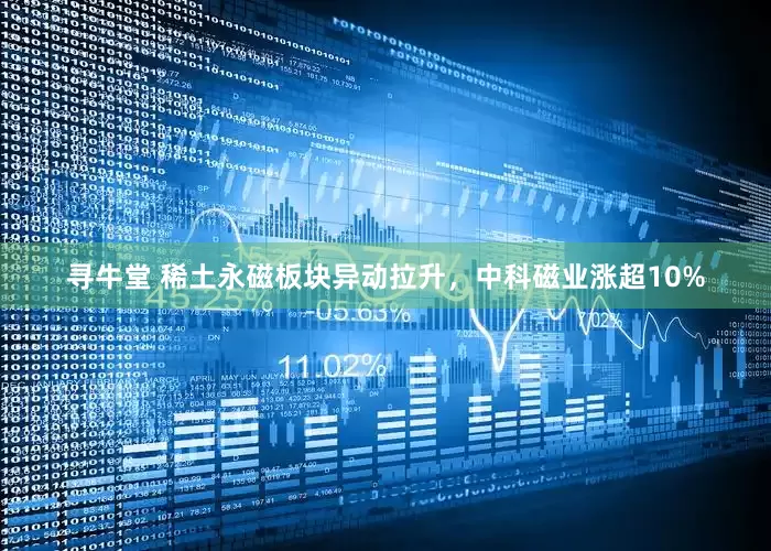 寻牛堂 稀土永磁板块异动拉升，中科磁业涨超10%