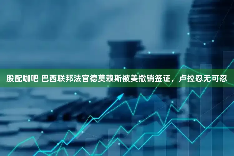 股配咖吧 巴西联邦法官德莫赖斯被美撤销签证，卢拉忍无可忍