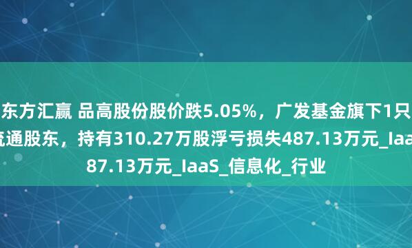 东方汇赢 品高股份股价跌5.05%，广发基金旗下1只基金位居十大流通股东，持有310.27万股浮亏损失487.13万元_IaaS_信息化_行业
