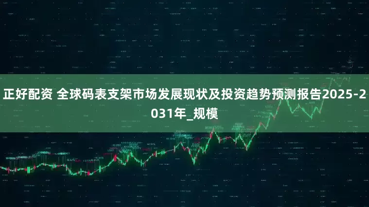正好配资 全球码表支架市场发展现状及投资趋势预测报告2025-2031年_规模