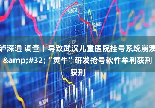 泸深通 调查丨导致武汉儿童医院挂号系统崩溃&#32;“黄牛”研发抢号软件牟利获刑