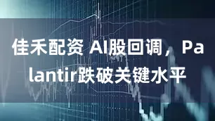 佳禾配资 AI股回调，Palantir跌破关键水平